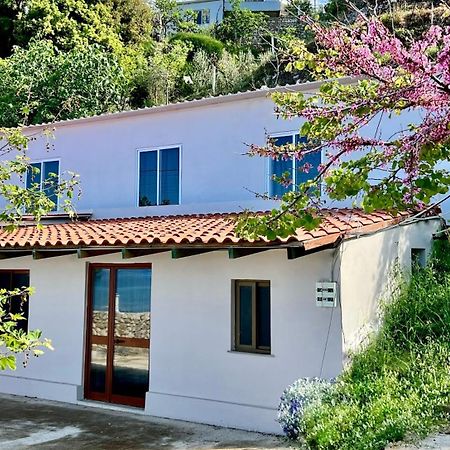 Villa Kate Borsh Kültér fotó